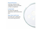 PCA SKIN Facial Wash Oily / Problem Skin